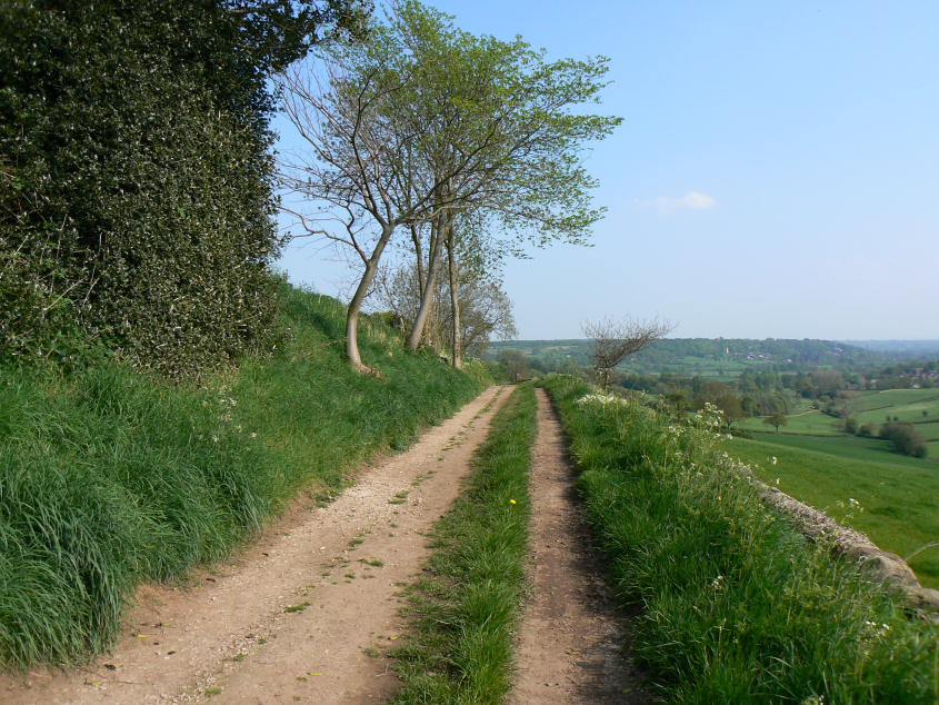 Duffield Bank Duffield Bank